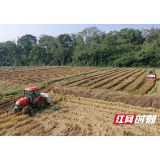 赫山:油菜播种实现机械化