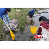 清剿福寿螺 守护生态湖 益阳职院耕读实践课开讲