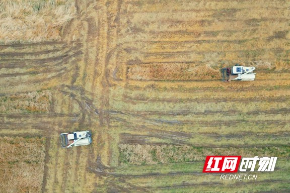 22.marked.jpg 22.marked.jpg