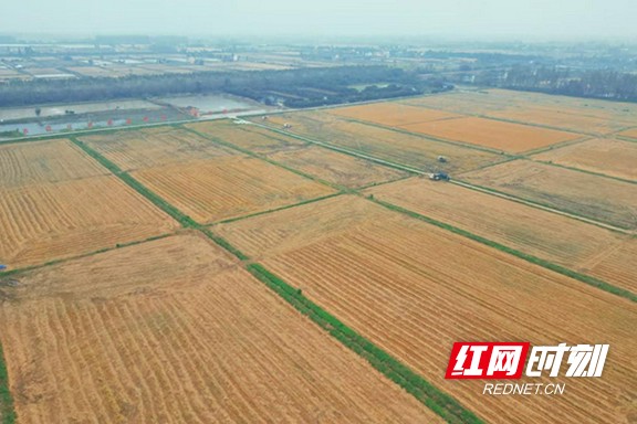 11.marked.jpg 11.marked.jpg