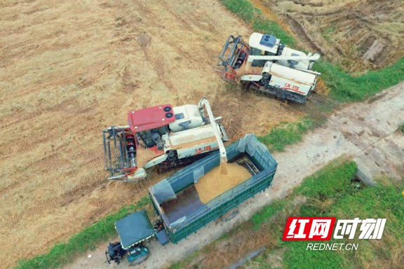 33.marked.jpg 33.marked.jpg