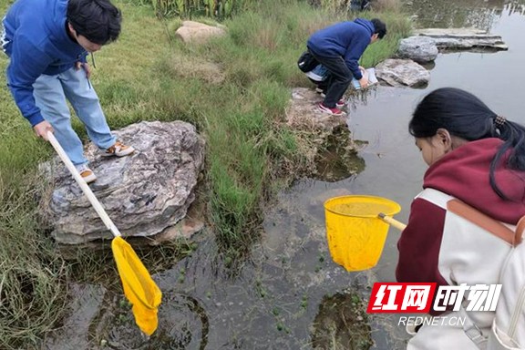 未标题-1-恢复的-恢复的-恢复的-恢复的.marked.jpg 未标题-1-恢复的-恢复的-恢复的-恢复的.marked.jpg