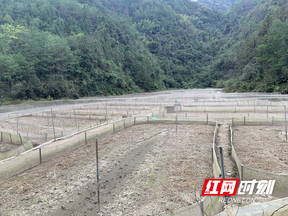 图片1.marked.png 图片1.marked.png