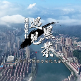 放个小假,泡在安化,委员助力安化茶旅文“潮”香出圈