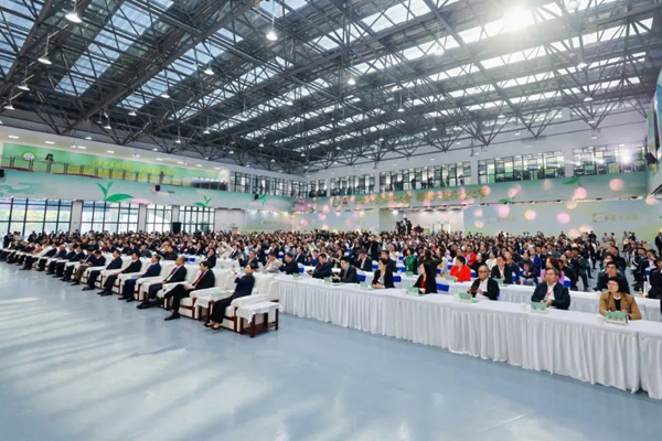 7878787.jpg 7878787.jpg