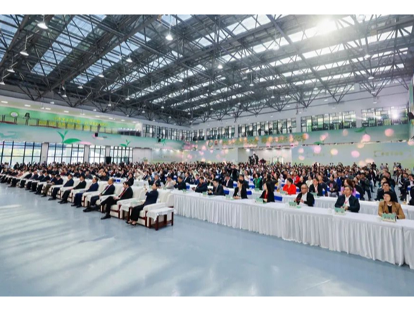 白沙溪获“2025年度中国黑茶企业代表品牌”荣誉称号