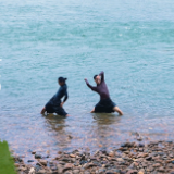 动态海报丨舞舞舞！在益阳山水间，看顶级舞者跳出“诗与远方”