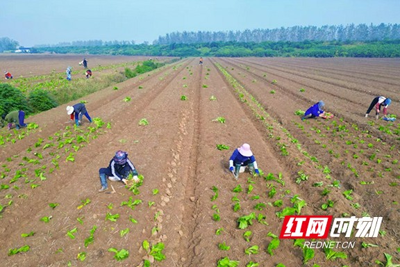 222.marked.jpg 222.marked.jpg