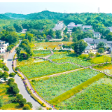 清溪村再迎文学盛事 儿童文学周即将启幕