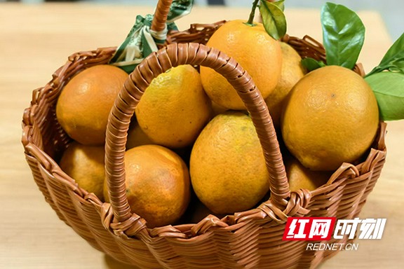 3333333.marked.jpg 3333333.marked.jpg