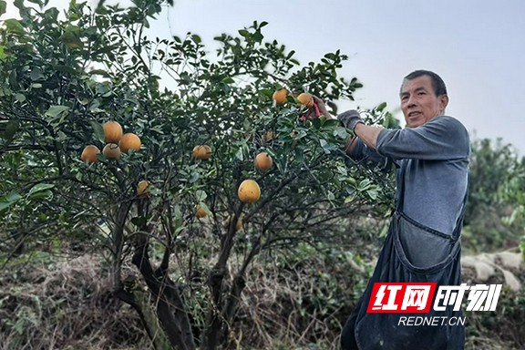 222222222.marked.jpg 222222222.marked.jpg