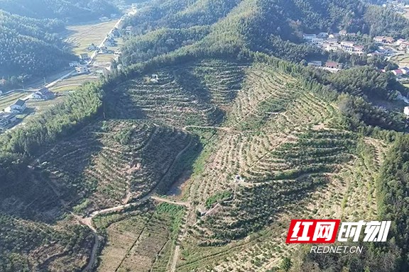 111111.marked.jpg 111111.marked.jpg