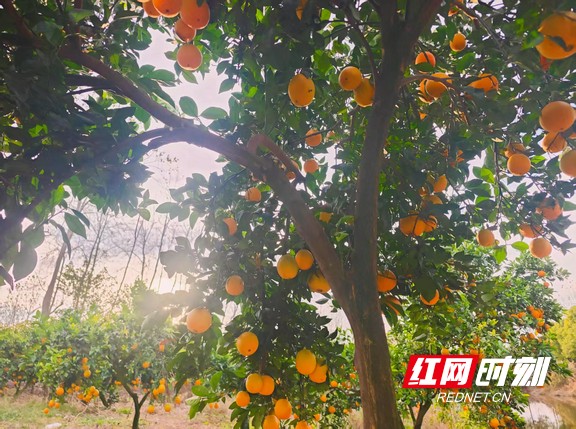 558af4daca8644019c64a75579568fa0.marked.jpg 558af4daca8644019c64a75579568fa0.marked.jpg