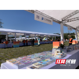 书香+非遗+童趣！益阳清溪儿童书会开“市”啦