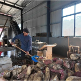 赫山区岳家桥镇：“小红薯”种出致富“大产业”