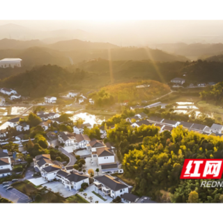 名家大V清溪行：在“文学之乡”解码乡村振兴密码