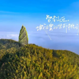 总要来一次桃江