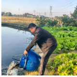 兰溪镇槐花新村：庭院养殖激活乡村振兴“一池春水”