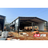 赫山区泉交河镇:养好“致富鸭” 走好“振兴路”