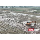 大通湖区千山红镇:600亩旱地改造水田 夯实粮食生产根基