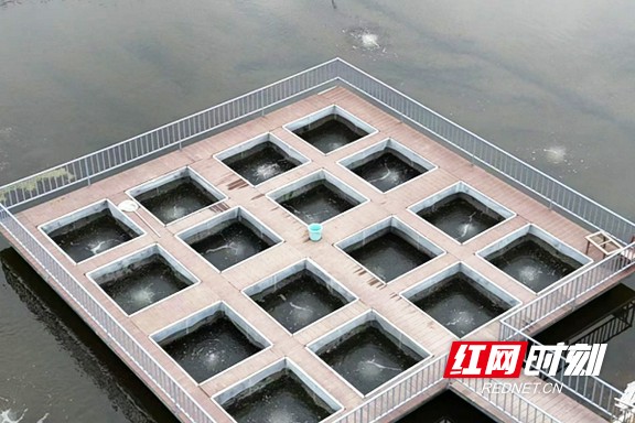 33.marked.jpg 33.marked.jpg