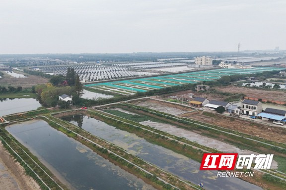 11.marked.jpg 11.marked.jpg