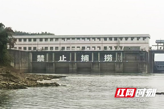 676767.marked.jpg 676767.marked.jpg