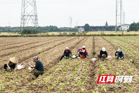 89898.marked.jpg 89898.marked.jpg