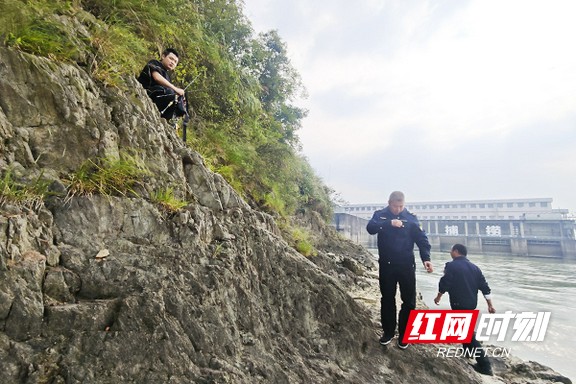 8989999.marked.jpg 8989999.marked.jpg