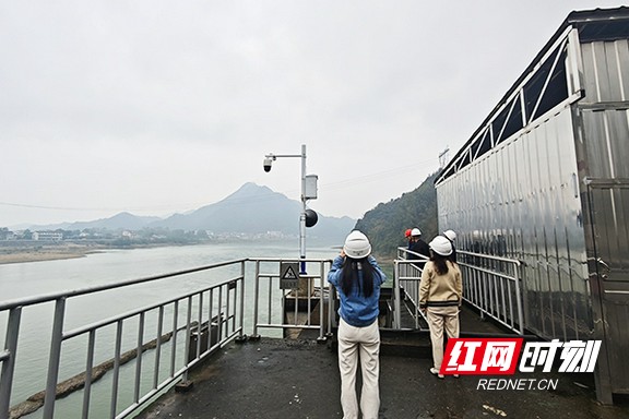 55.marked.jpg 55.marked.jpg