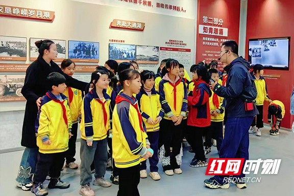 11.marked.jpg 11.marked.jpg