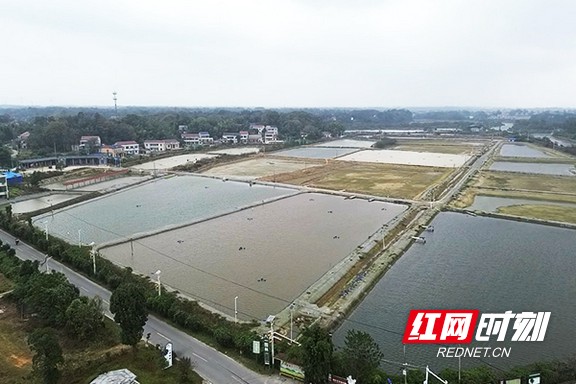 222.marked.jpg 222.marked.jpg