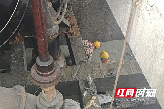 111.marked.jpg 111.marked.jpg