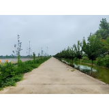 大通湖农村公路“大升级”! 560公里路网焕新,乡村振兴添动能