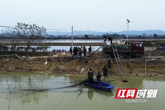 66666.marked.jpg 66666.marked.jpg