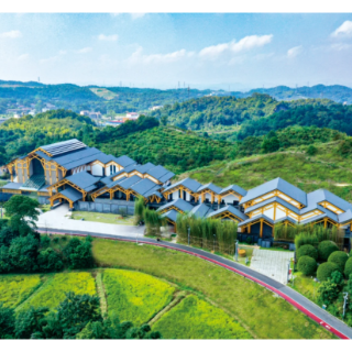 文学之乡益阳喊大湾区球迷回家！清溪文学村宠粉福利拉满