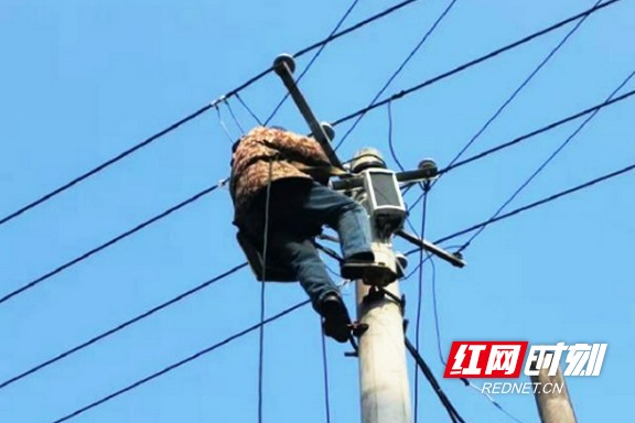 78.marked.jpg 78.marked.jpg