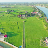 益阳市：汛旱并防筑牢“耕”基 耕地置换绘就“丰”景