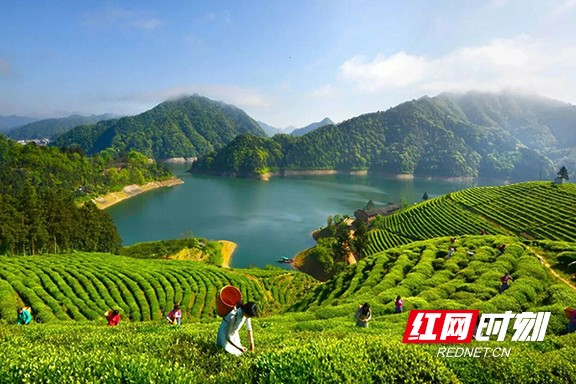 微信图片_2025-12-18_132445_099.marked.jpg 微信图片_2025-12-18_132445_099.marked.jpg