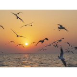 静候您来大通湖