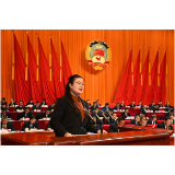 聚焦两会 | 曾涛：推进教育科技人才深度融合 加快催生益阳纺织服装产业新质生产力