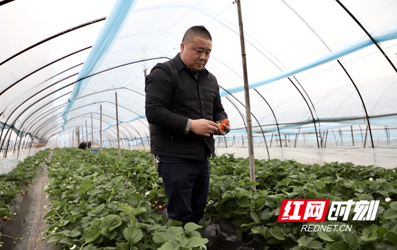 图片3.marked.png 图片3.marked.png