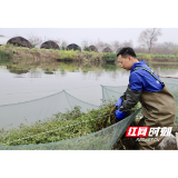 赫山区农村创业典型曹峰：返乡创业的“新农人” 乡村振兴的“追梦人”