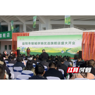 本土特产一站购齐！益阳市银城供销优选旗舰店开业，赋能城乡发展