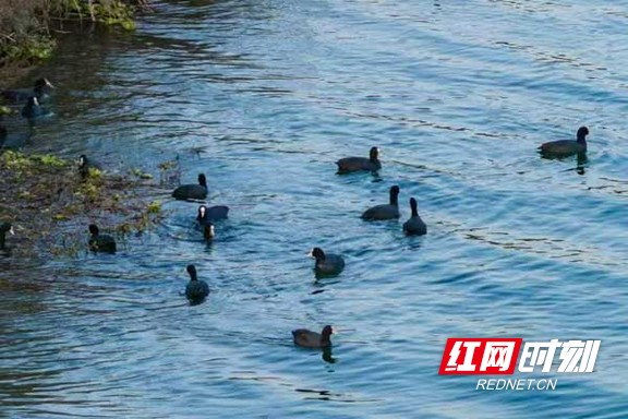 22.marked.jpg 22.marked.jpg