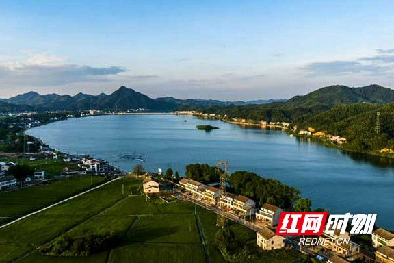 11.marked.jpg 11.marked.jpg