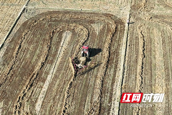 666.marked.jpg 666.marked.jpg