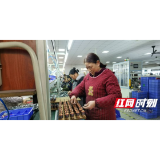 桃江：帮扶车间复工忙 就近上岗促增收