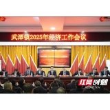 桃江县武潭镇召开2025年经济工作会议