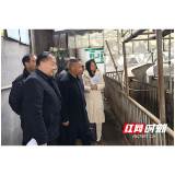 桃江一生猪屠宰企业今年第一批通过GMP首次检查